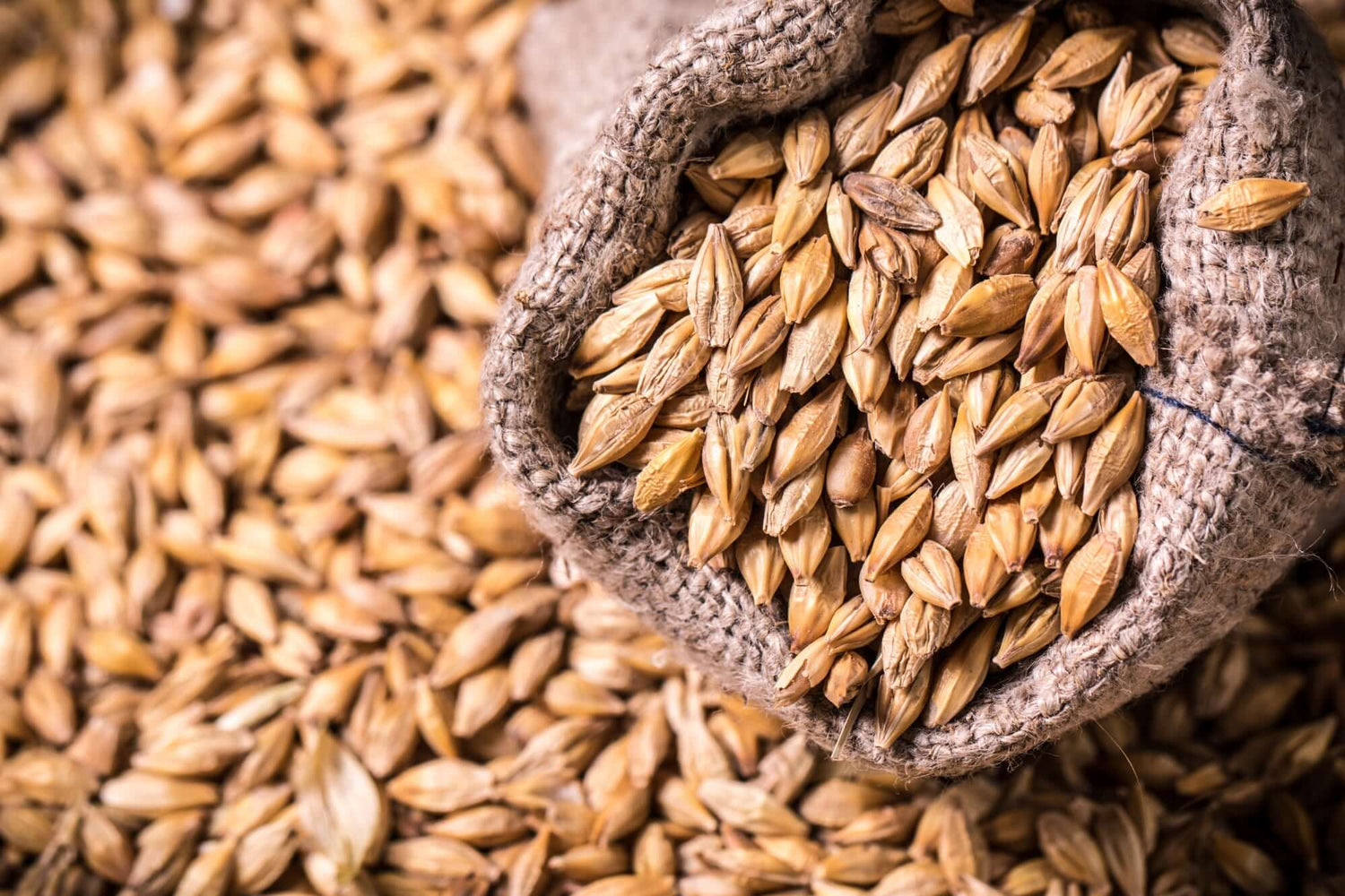Grains