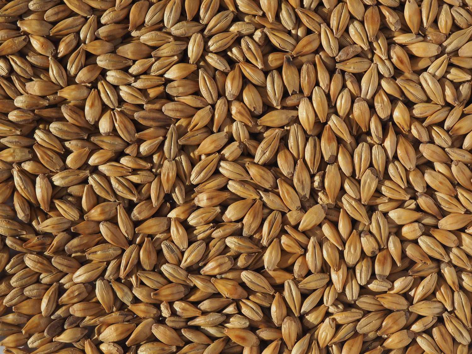Cara & Crystal Malt