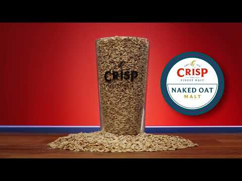 Crisp Malt - Naked Oat Malt - Malt Tasting Video