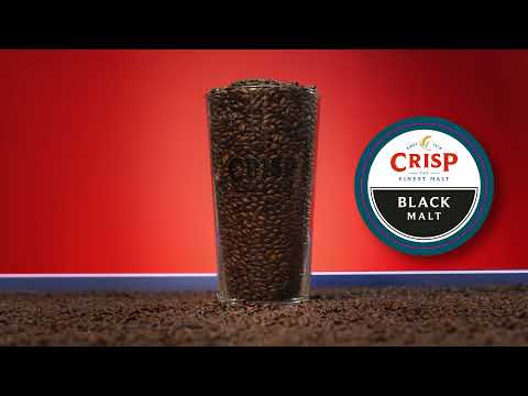 Crisp Malt - Black Malt, Also Known As Patent Malt - Malt Tasting Video