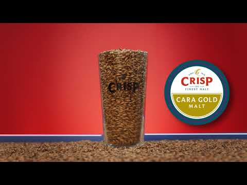 Crisp Malt - Cara Gold Malt - Malt Tasting Video