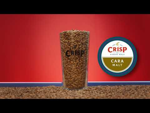 Crisp Malt - Cara Malt - Malt Tasting Video