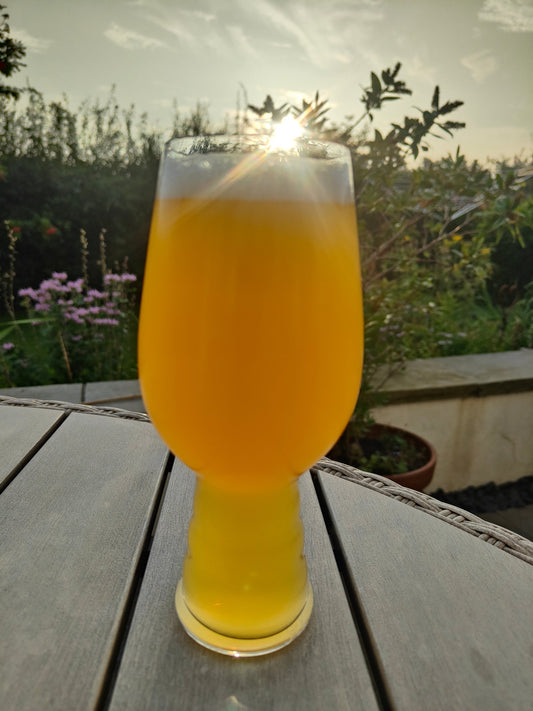 Hop Additions In Beer Explained