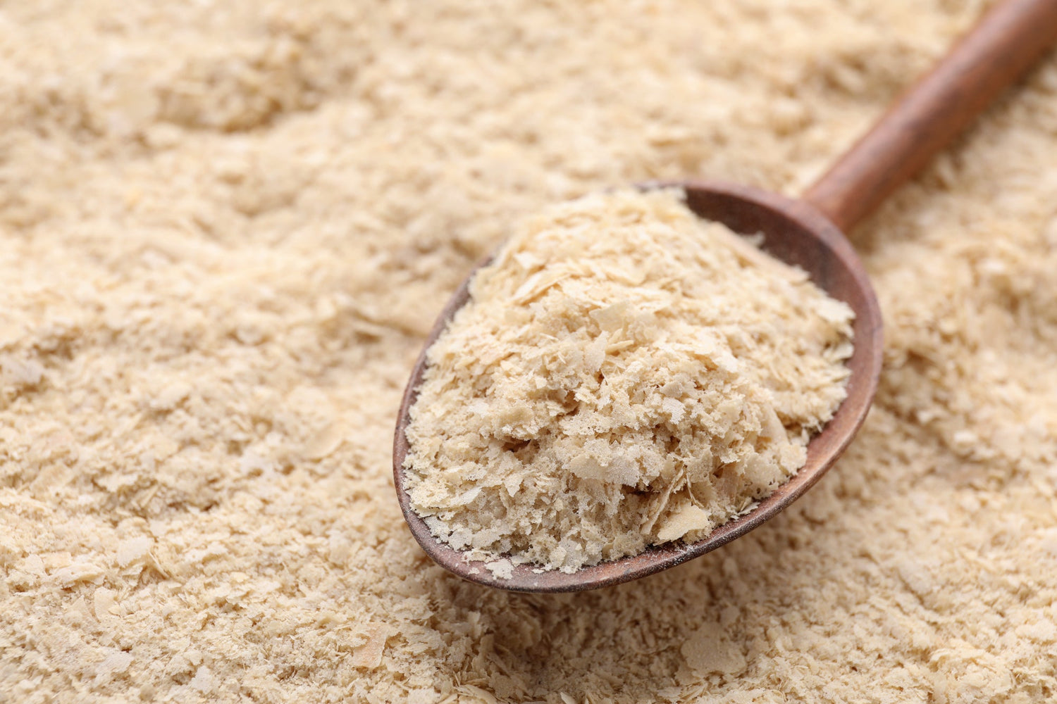 Yeast