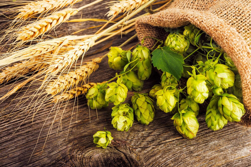 Hops
