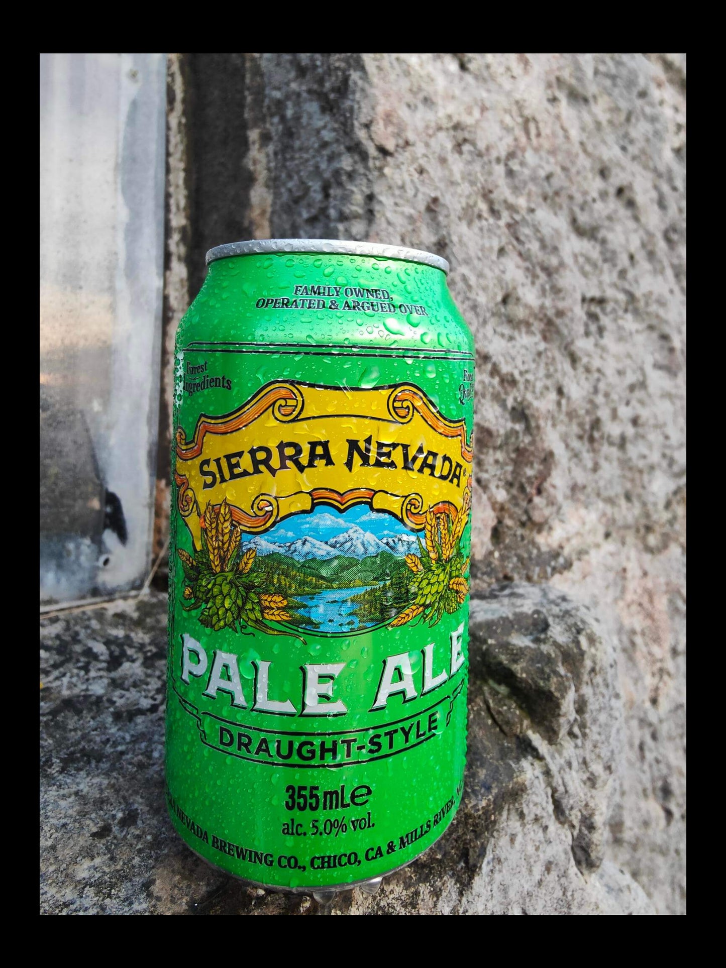 Sierra Nevada Pale Ale. American Shoes Sierra Nevada Pale Ale Tribute All Grain Recipe Kit