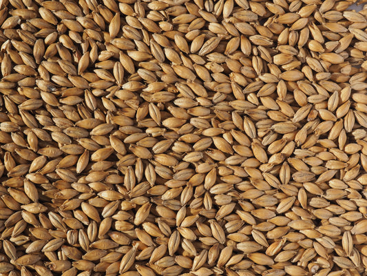 Grains / malts for brewing ale
