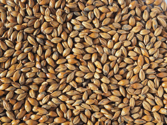 Brown Malt for beer brewing