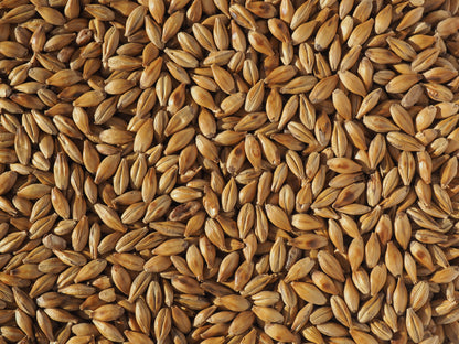 Cara malt for beer brewing