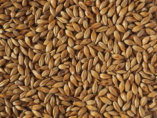 Cara malt for beer brewing