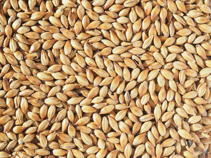 Crystal 150 malt for beer brewing
