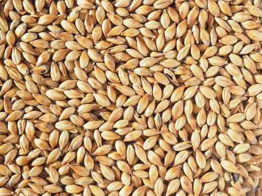 Crystal 150 malt grains