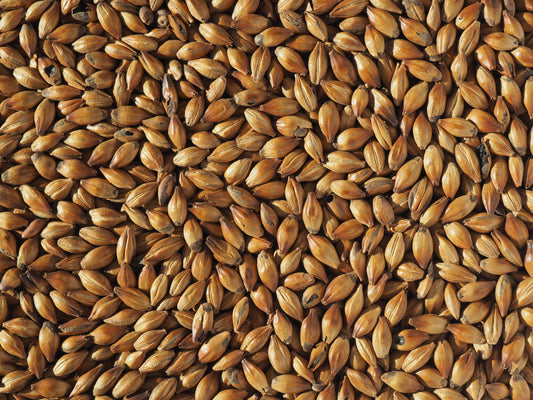 Crystal 400 malt for beer brewing