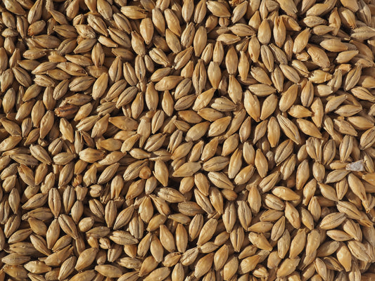 Dextrin Malt by Crisp Malt for brewing beer at home