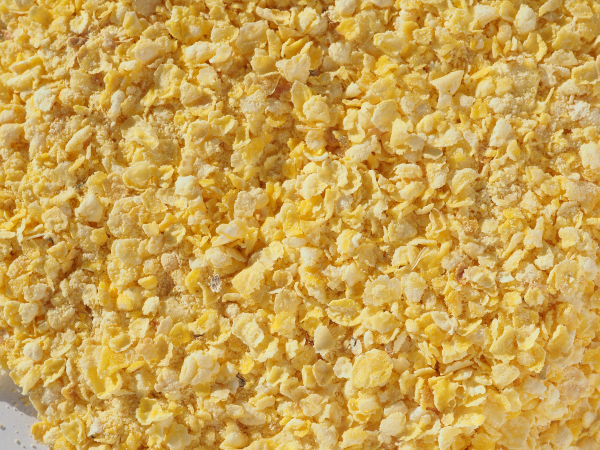 Flaked Torrefied Maize for use in brewing beer & Lager.