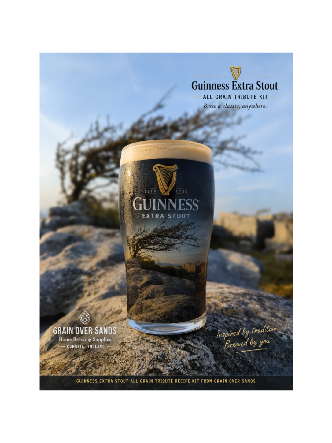 Image of pint of guinness extra stout onn Hampsfell on limestone with windswpt tree in background. Text about Grain Over Sands and their Guinness Extra Stout all grain recipe kit