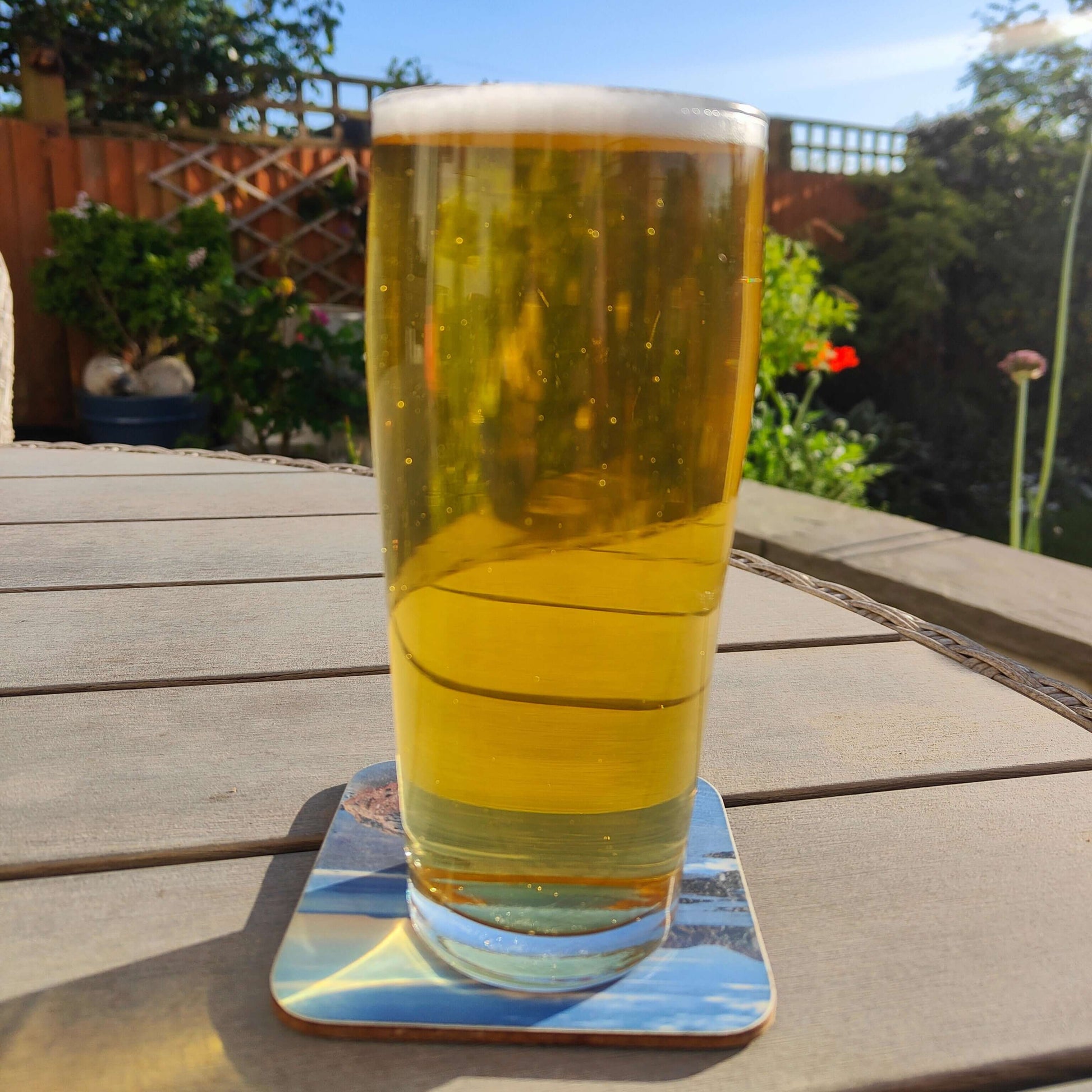 Glass of Kölsch Style All Grain Beer Kit on a wooden table with a garden background