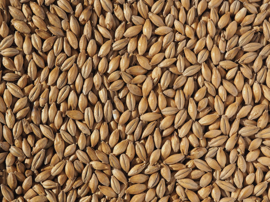 Larger malt grains