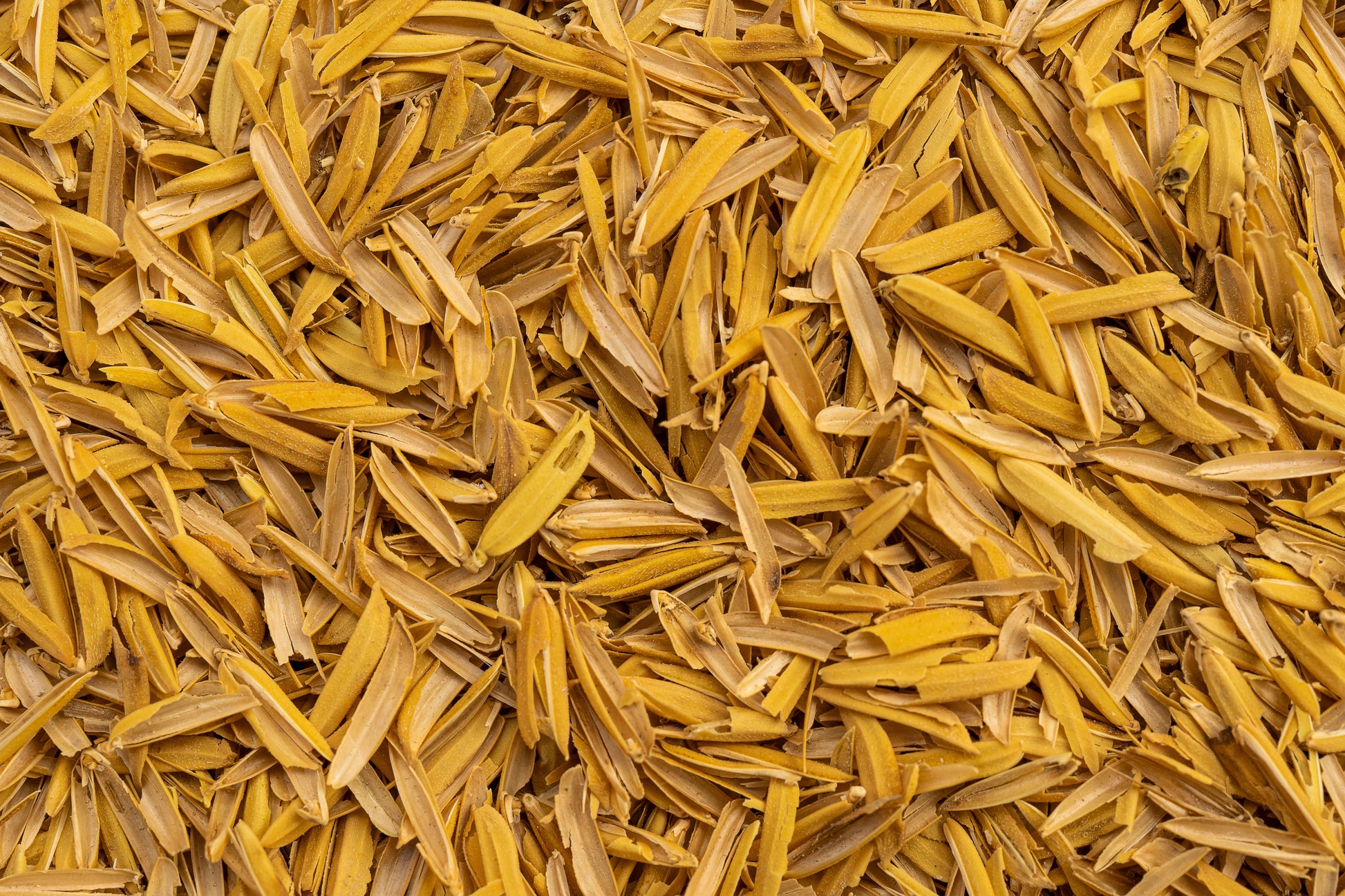 rice hull for beer brewing