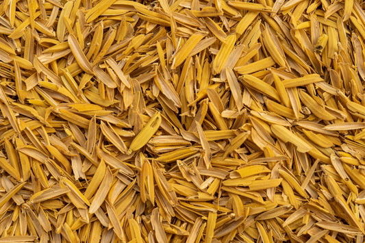 rice hull for beer brewing