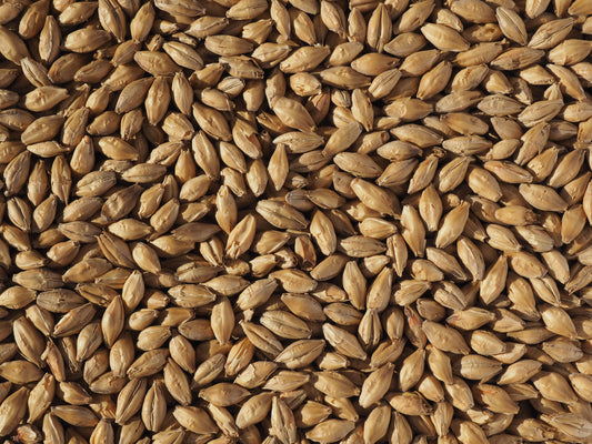 Vienna malt for beer brewing