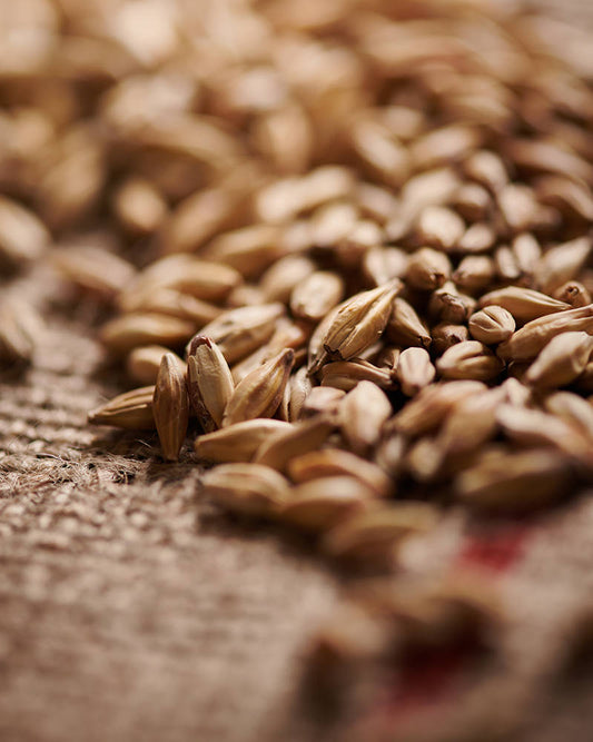 Weyermann Melanoidinmalz Malts for Beer