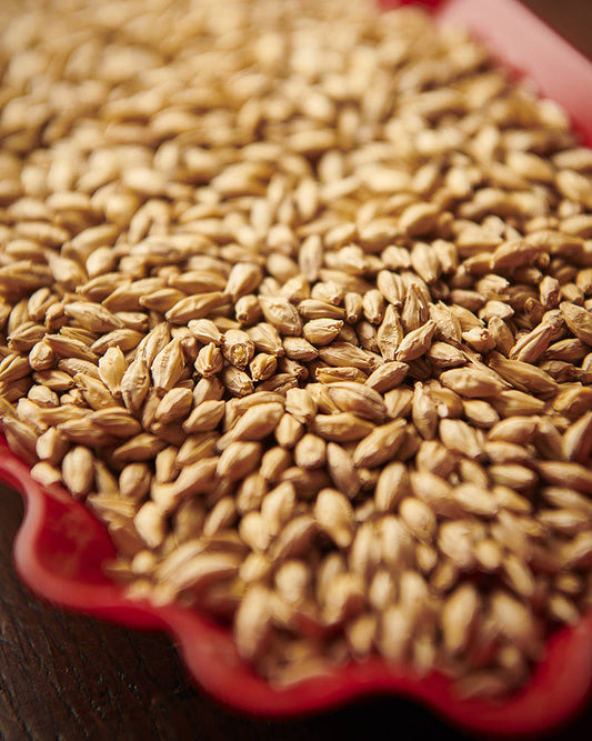 Weyermann MuenchnerMalz Malts
