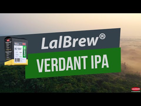 Discover LalBrew VERDANT IPA Ale Yeast