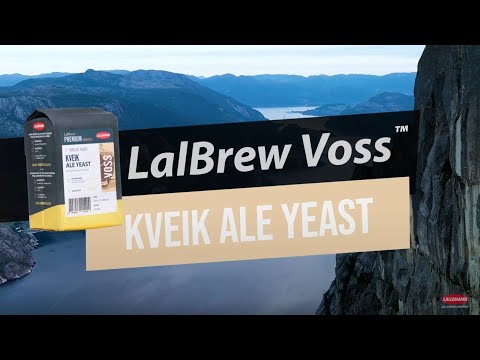 LalBrew Voss Kveik Ale Yeast