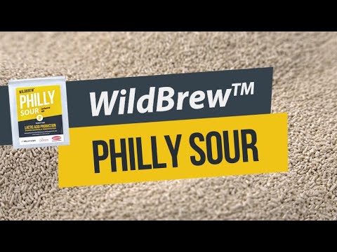PHILLY SOUR - Yeast For Lactic Acid Production - WildBrew Premium series