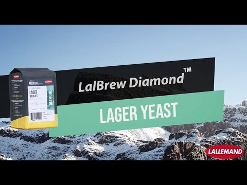 LalBrew Diamond™ - Lager Yeast