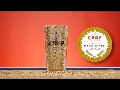 Crisp Malt - Finest Maris Otter Ale Malt - Malt Tasting Video